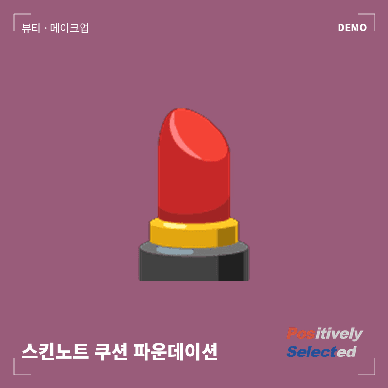 스킨노트 쿠션 파운데이션