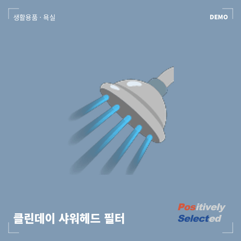 클린데이 샤워헤드 필터